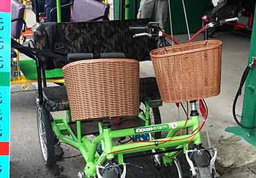 electric surrey bike