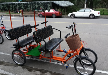 4 person quadricycle