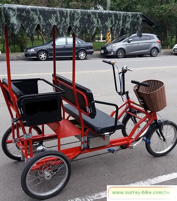 Electric Motor Surrey Bike for 2 adults and 2 kids