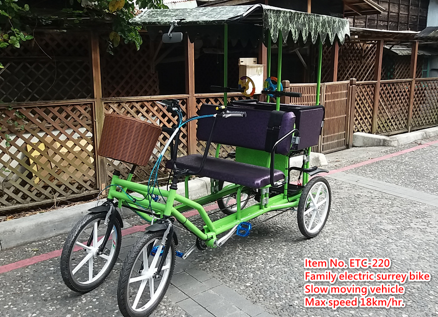 Family Bike with Electric Motor