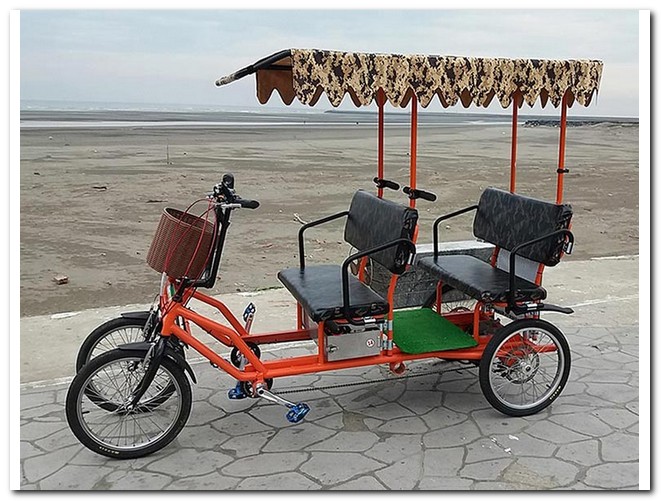 Electric surrey 2025 bike