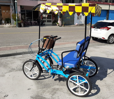 Electric Surrey Bike 2 person