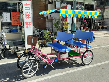 Electric Surrey Bike 4 person